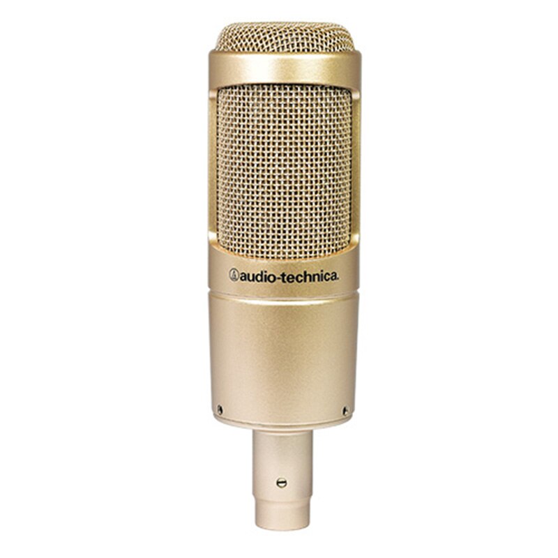 Audio Technica AT2035 Sing Karaoke Artifact Recording Microphone