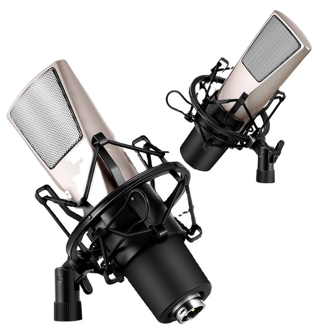 Yanmai Q6 Professional condenser USB Streaming Microphone Set